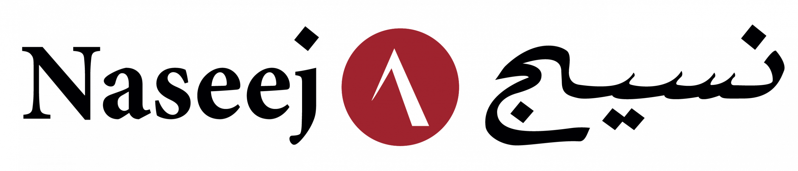 Naseej for Technology Logo